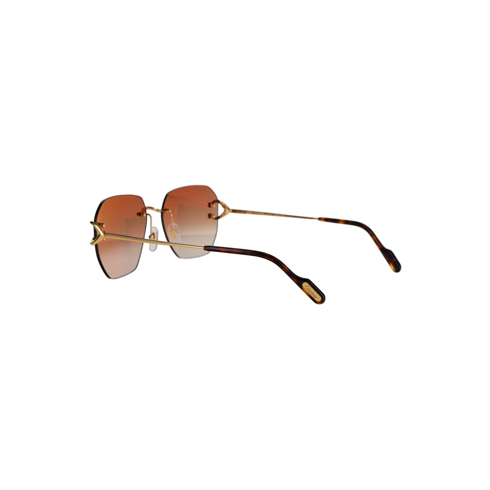 CT0394S Signature C Sunglasses