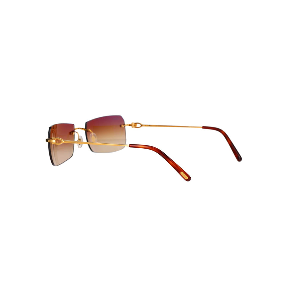 CT0006RS  C Décor Sunglasses
