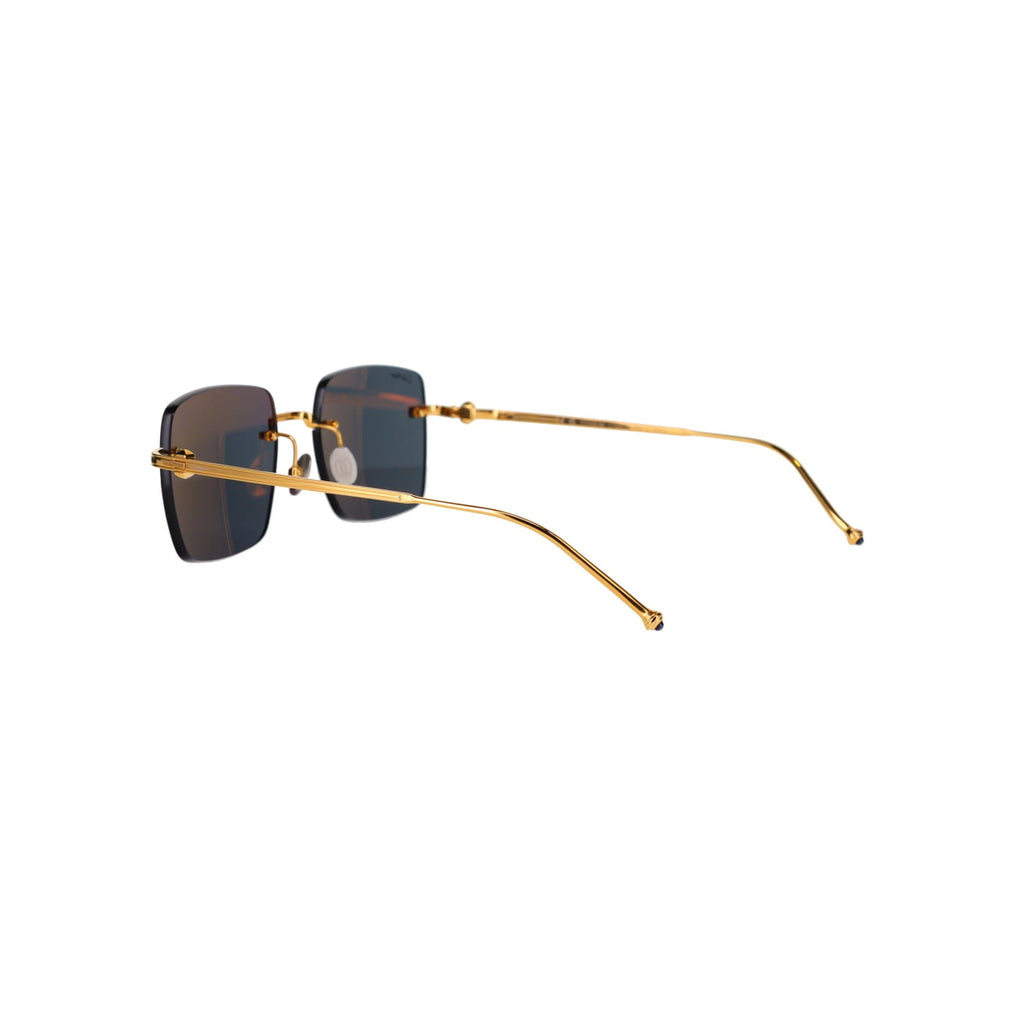 CT0403S Pasha Sunglasses