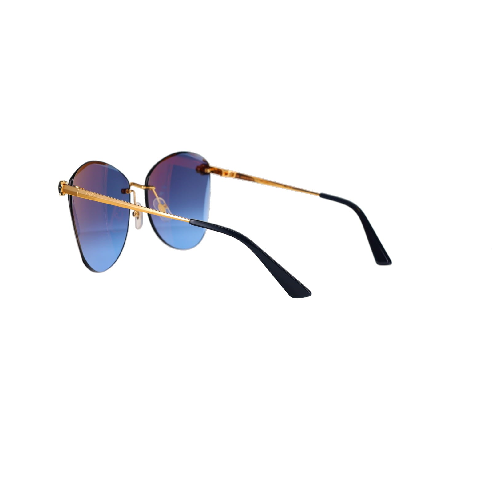 CT0398S Cat-eye Panthère Sunglasses