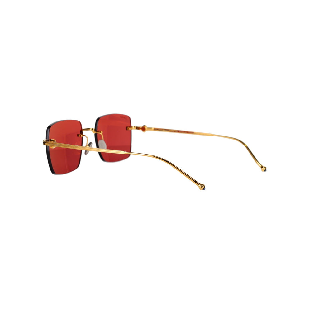 CT0403S Pasha Sunglasses
