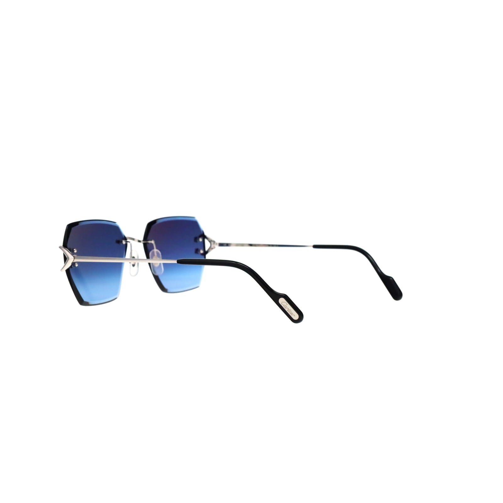CT0466S  Signature C Sunglasses
