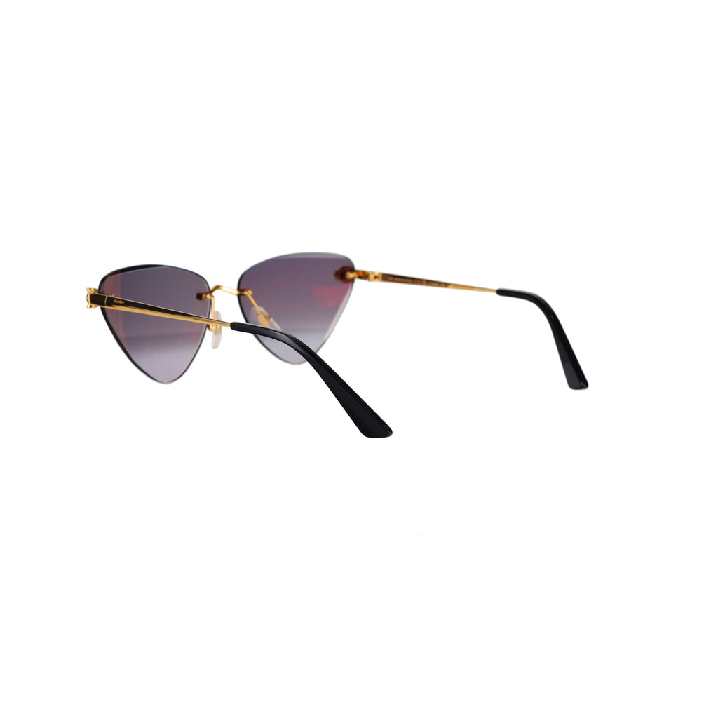 CT0399S Geometric Panthère Sunglasses