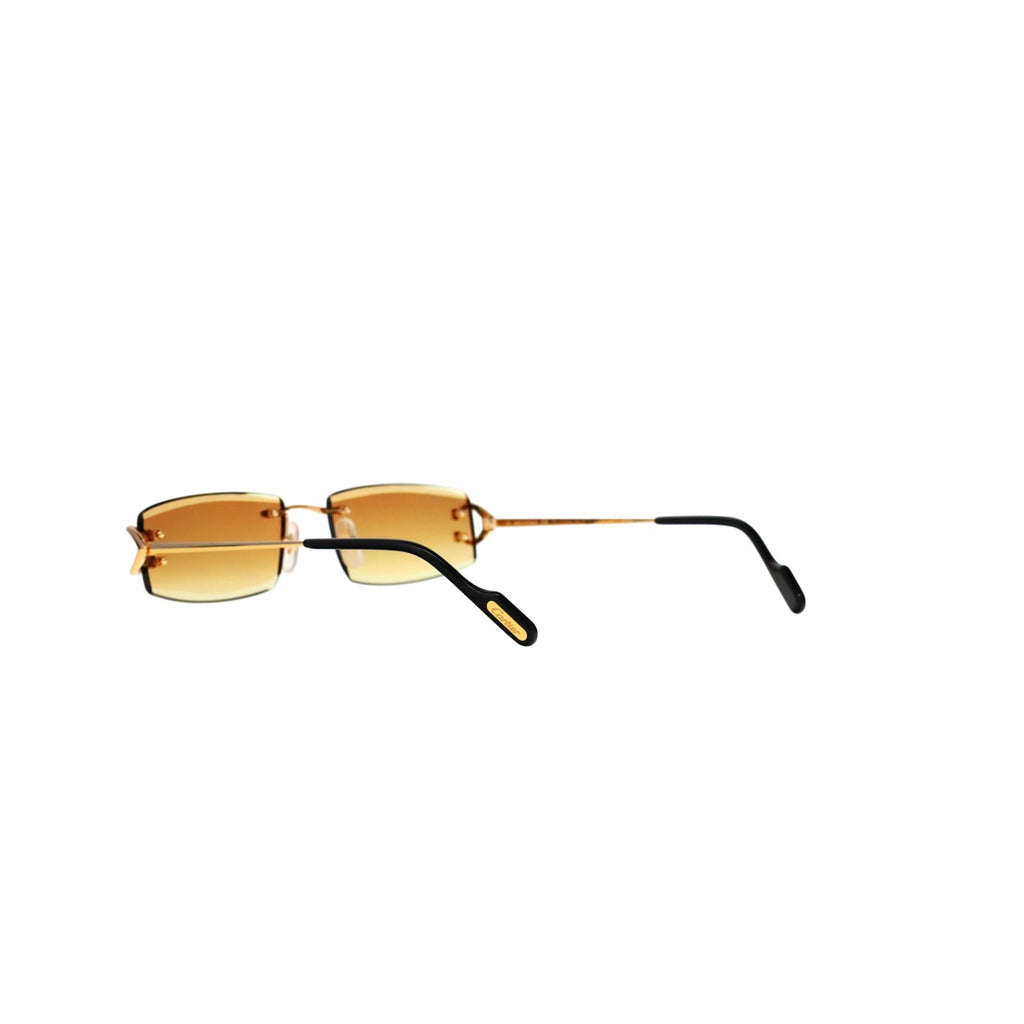 CT0465S Signature C  Rectangular Sunglasses