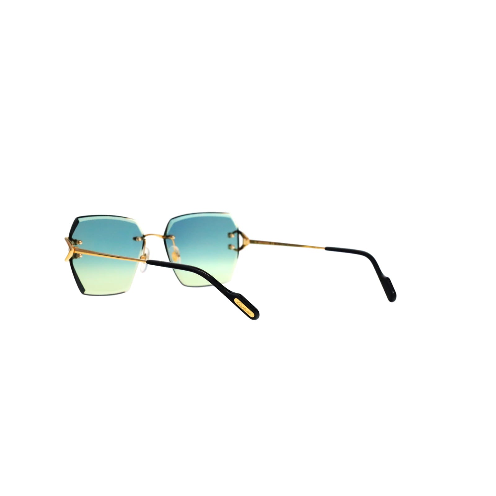 CT0466S  Signature C Sunglasses