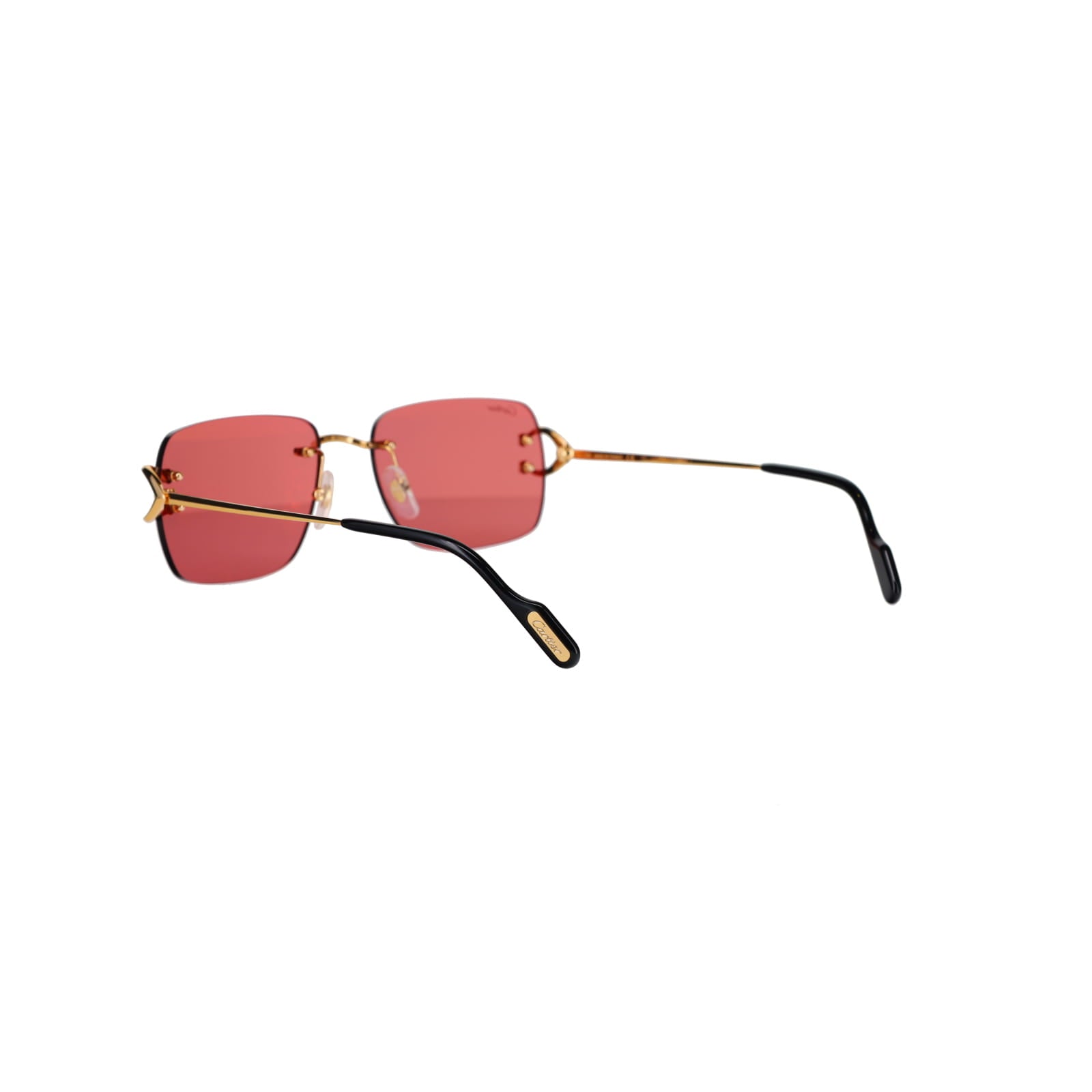 CT0330S Signature C  Sunglasses