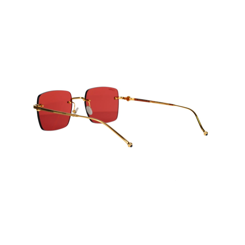 CT0403S Pasha Sunglasses