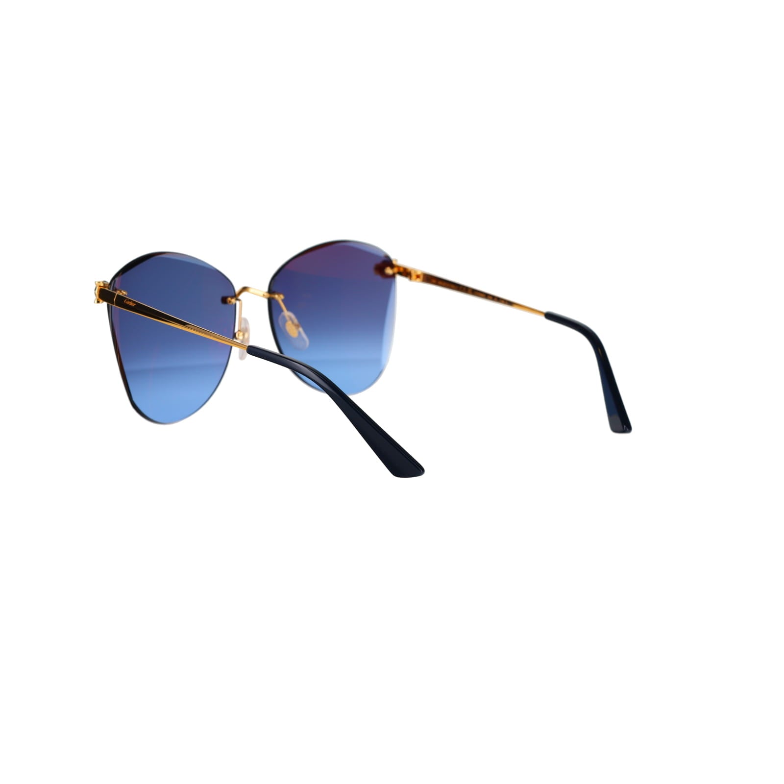 CT0398S Cat-eye Panthère Sunglasses
