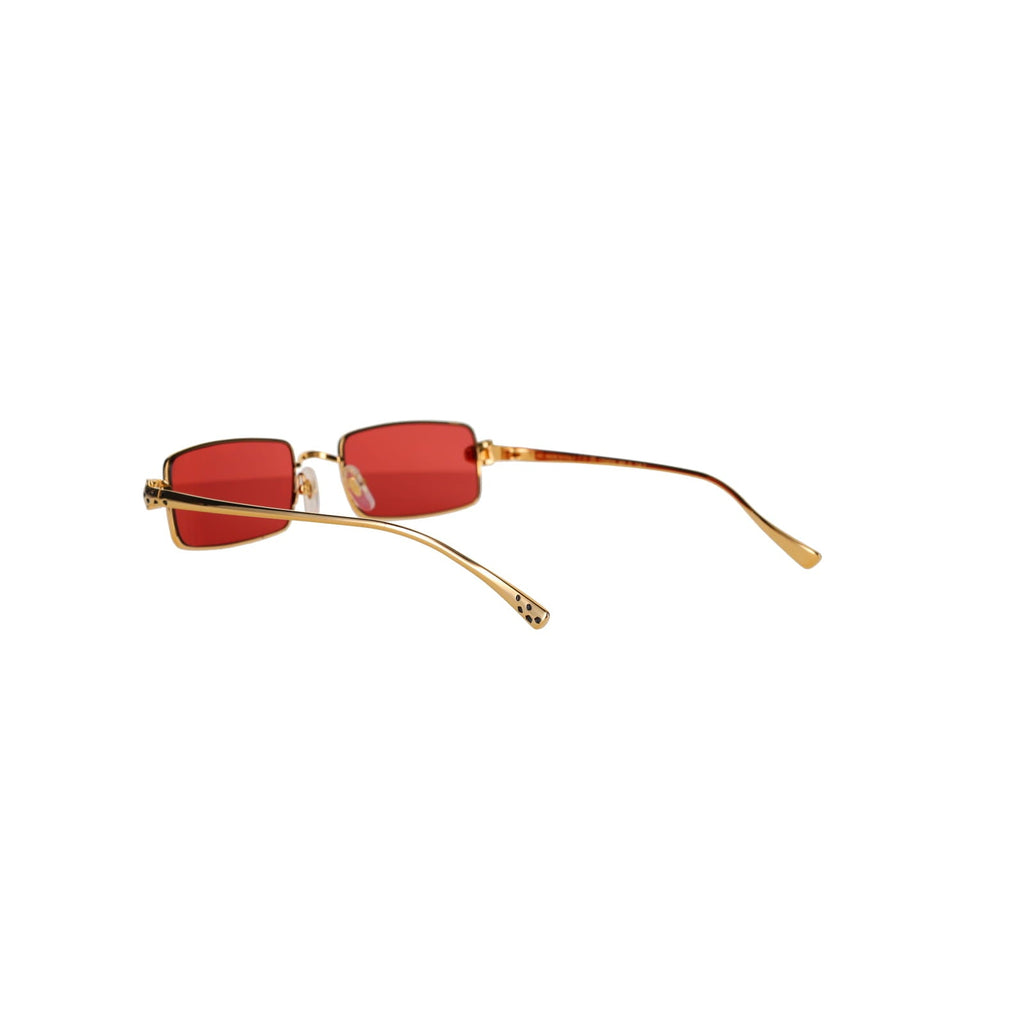 CT0473S Panthère Sunglasses