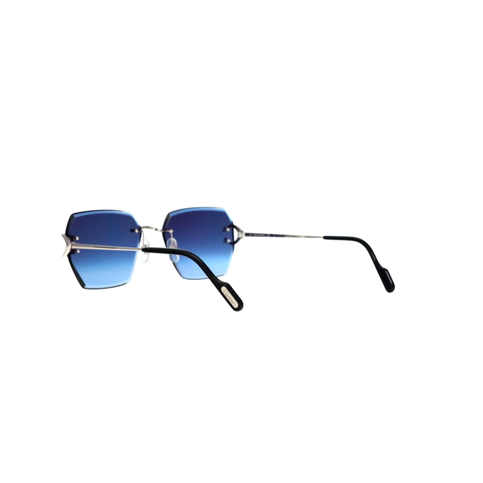 CT0466S  Signature C Sunglasses