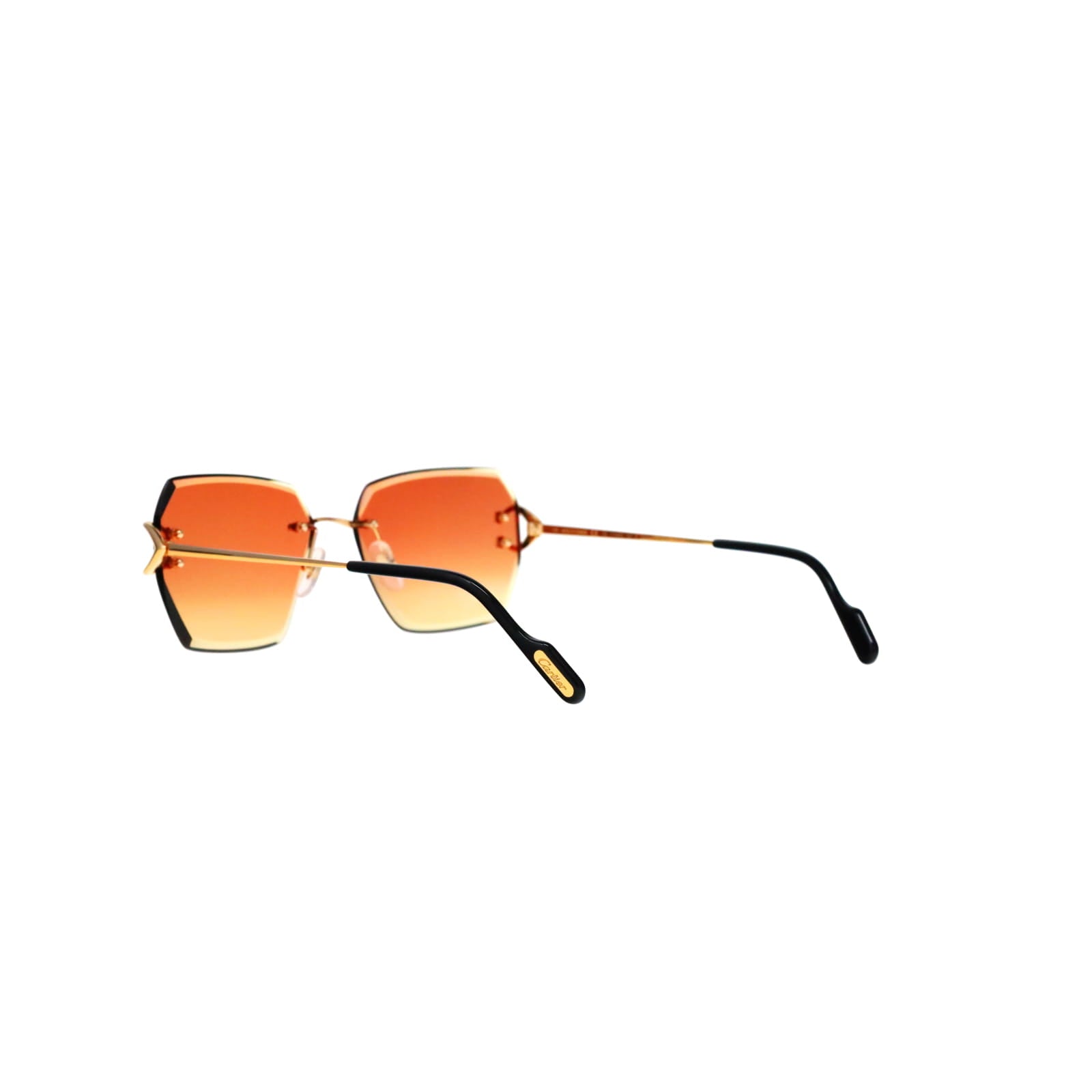 CT0466S  Signature C Sunglasses