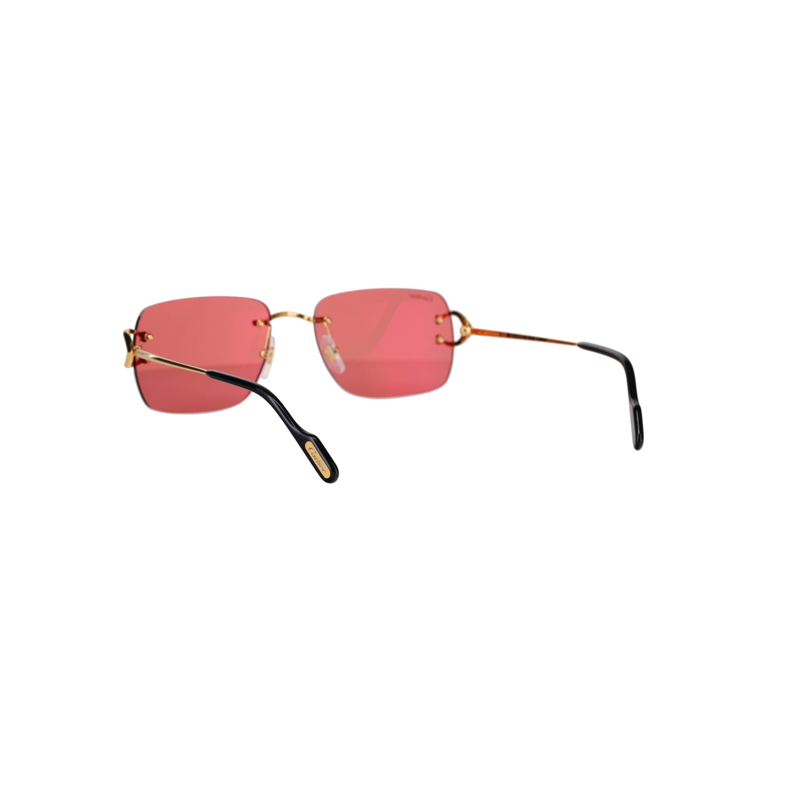 CT0330S Signature C  Sunglasses