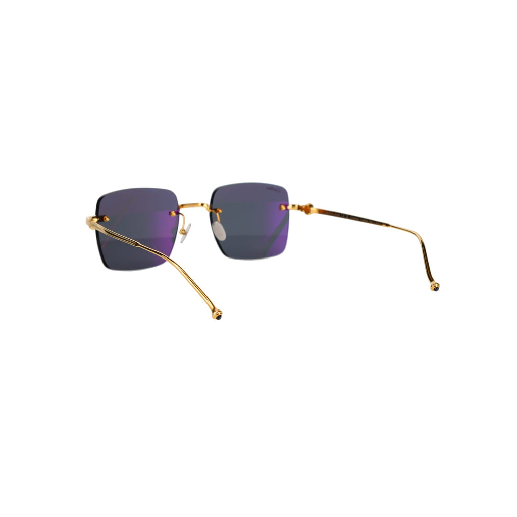CT0403S Pasha Sunglasses