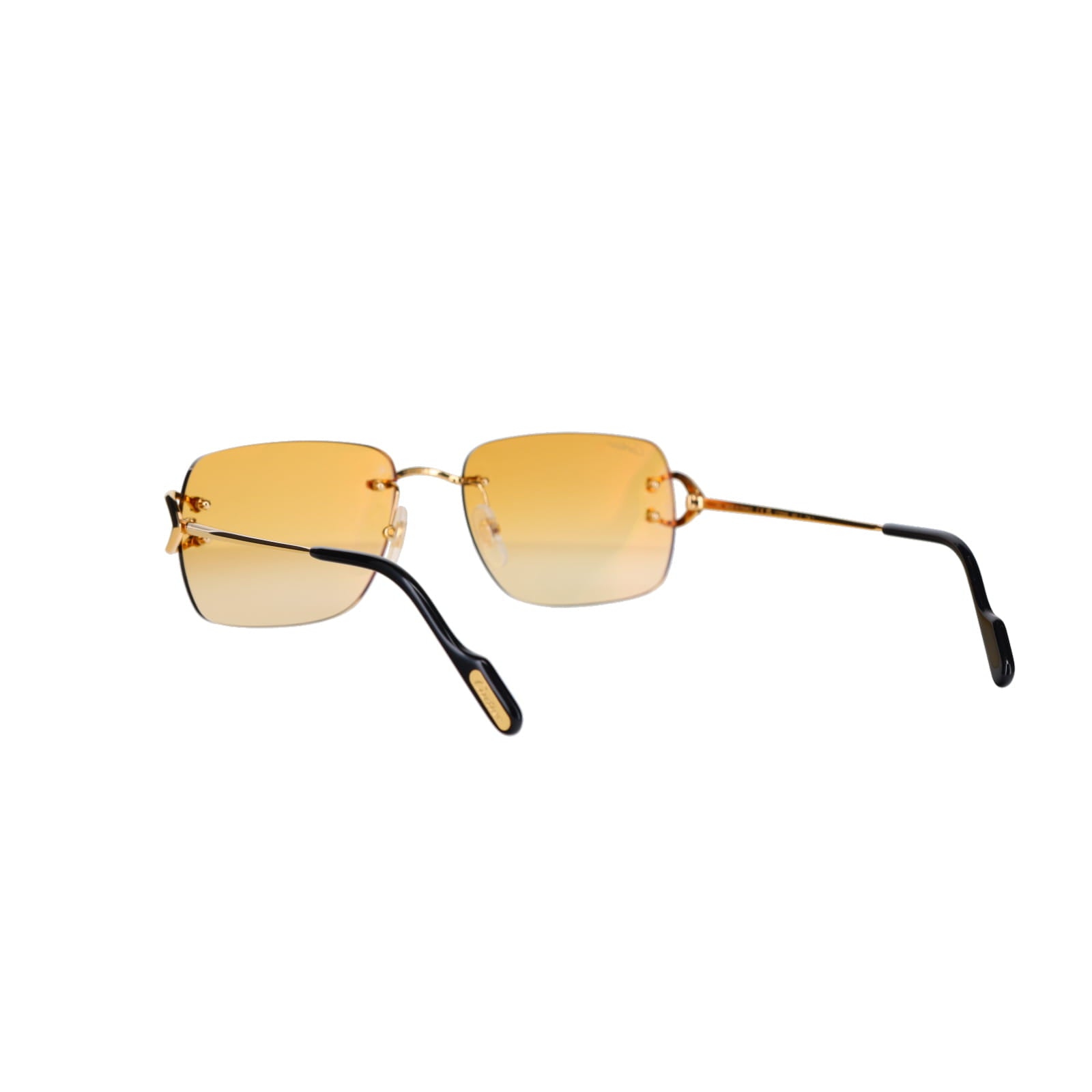 CT0330S Signature C  Sunglasses