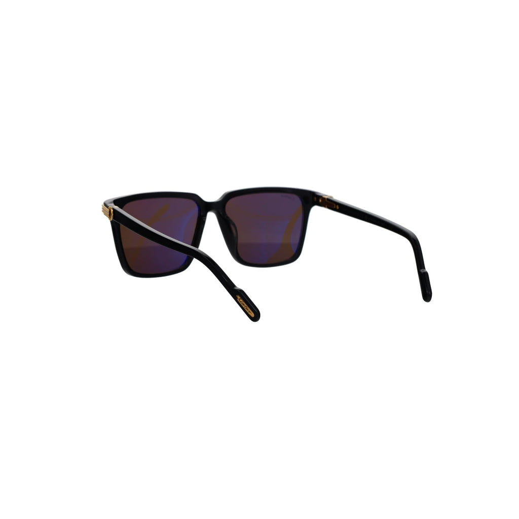 CT0366S Contemporary Acetate Sunglasses