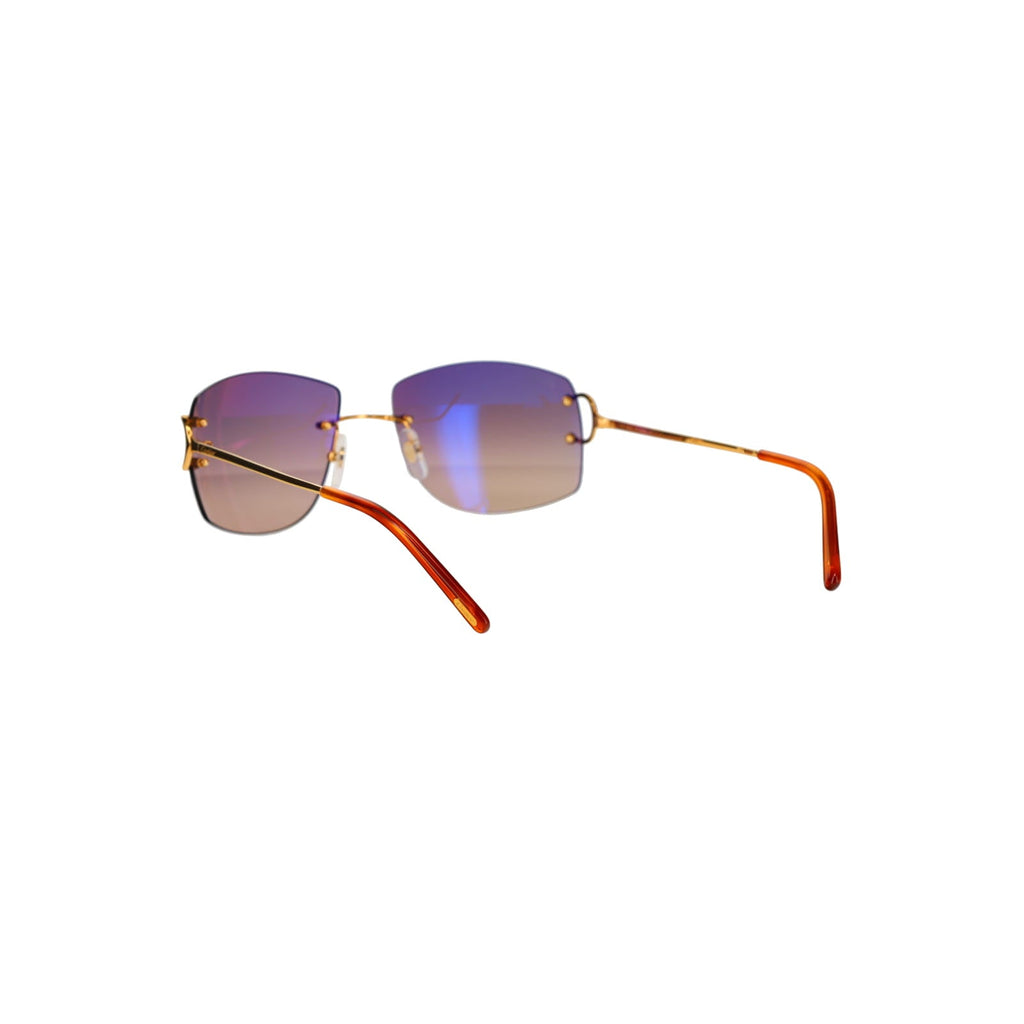CT0008RS Signature C Sunglasses