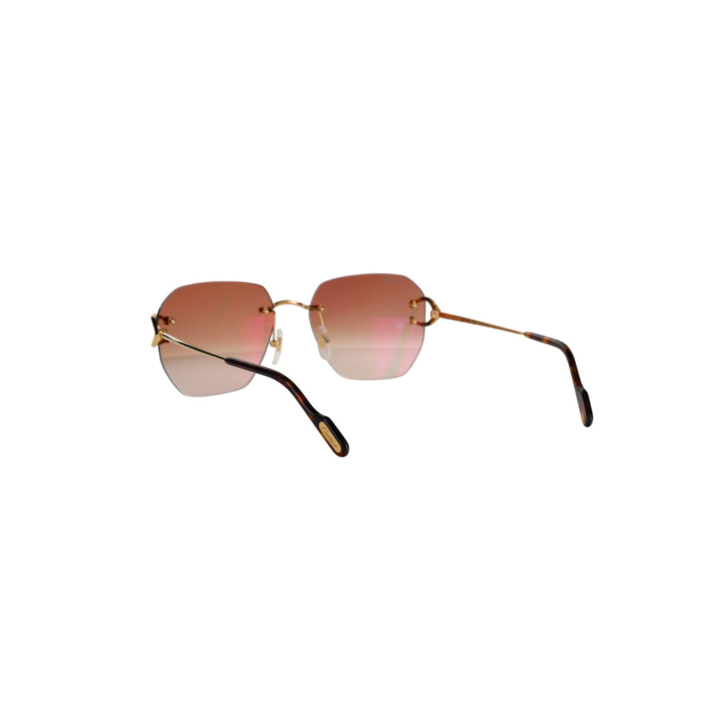 CT0394S Signature C Sunglasses
