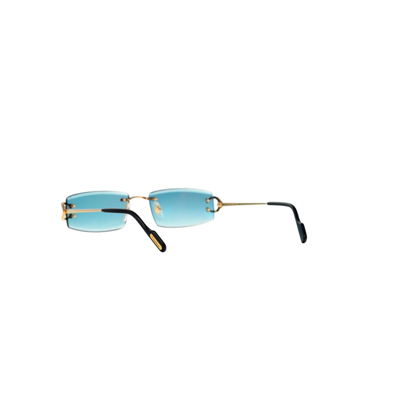CT0465S Signature C  Rectangular Sunglasses