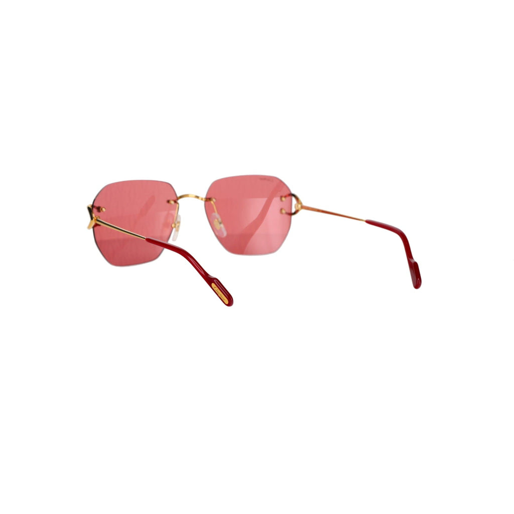 CT0394S Signature C Sunglasses
