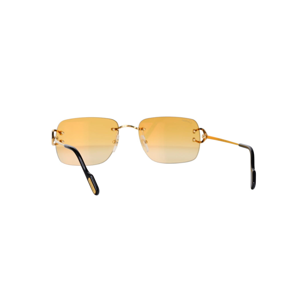 CT0330S Signature C  Sunglasses