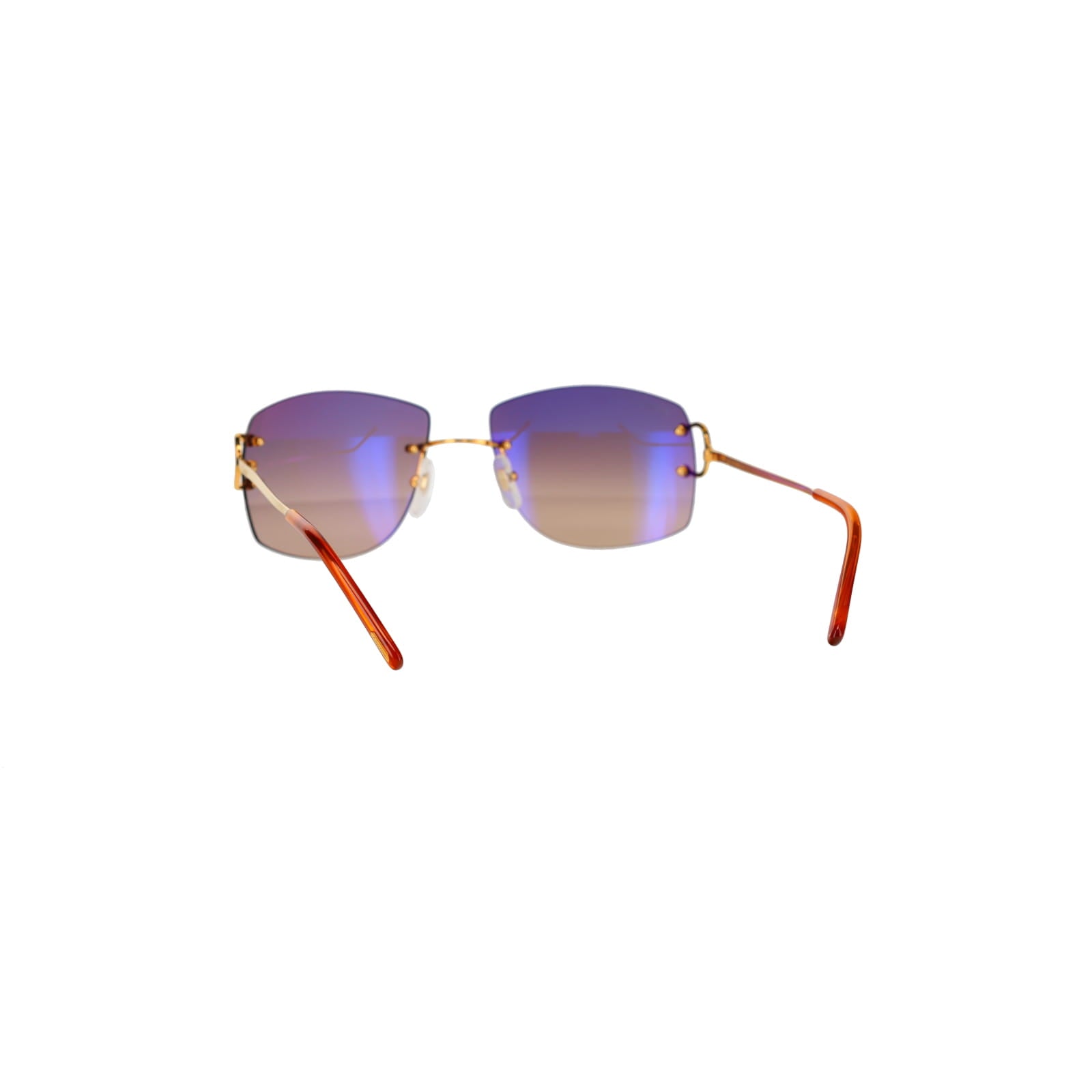 CT0008RS Signature C Sunglasses