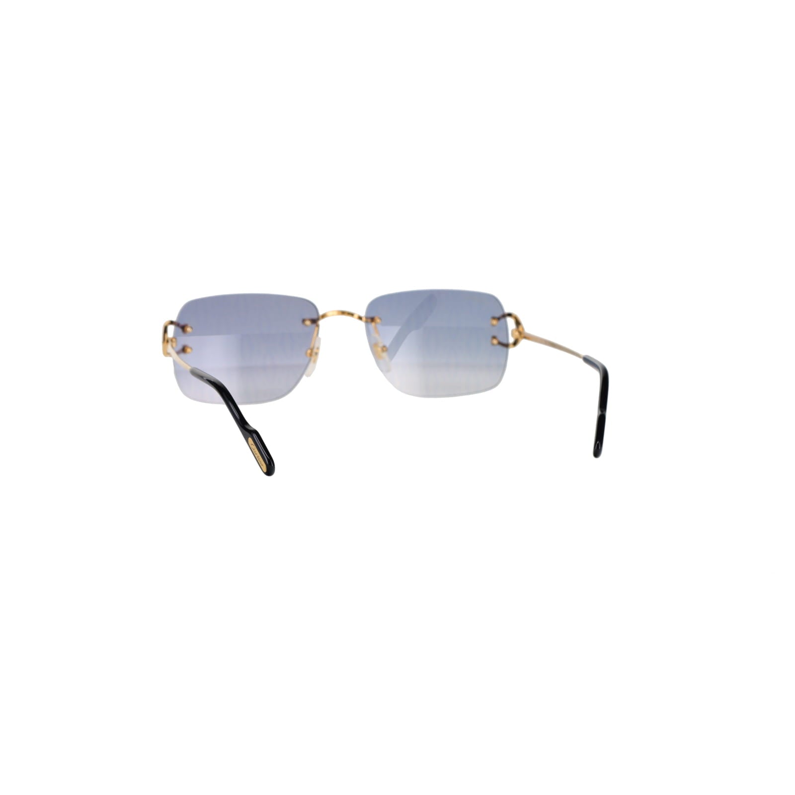 CT0330S Signature C  Sunglasses