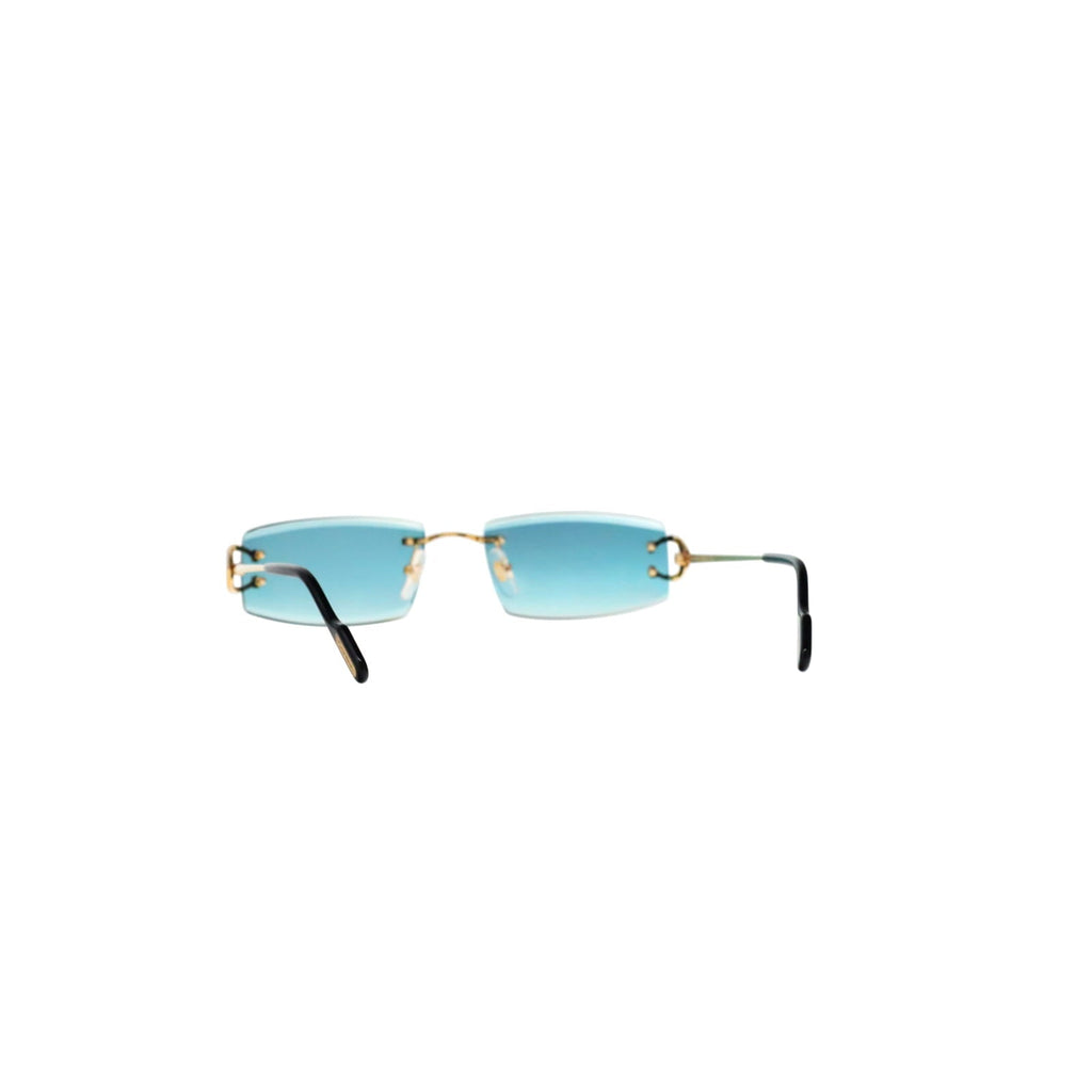 CT0465S Signature C  Rectangular Sunglasses