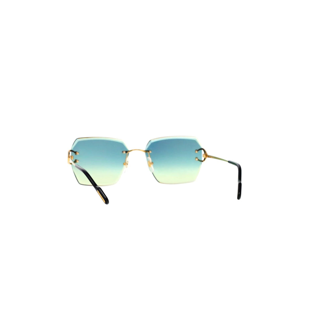 CT0466S  Signature C Sunglasses
