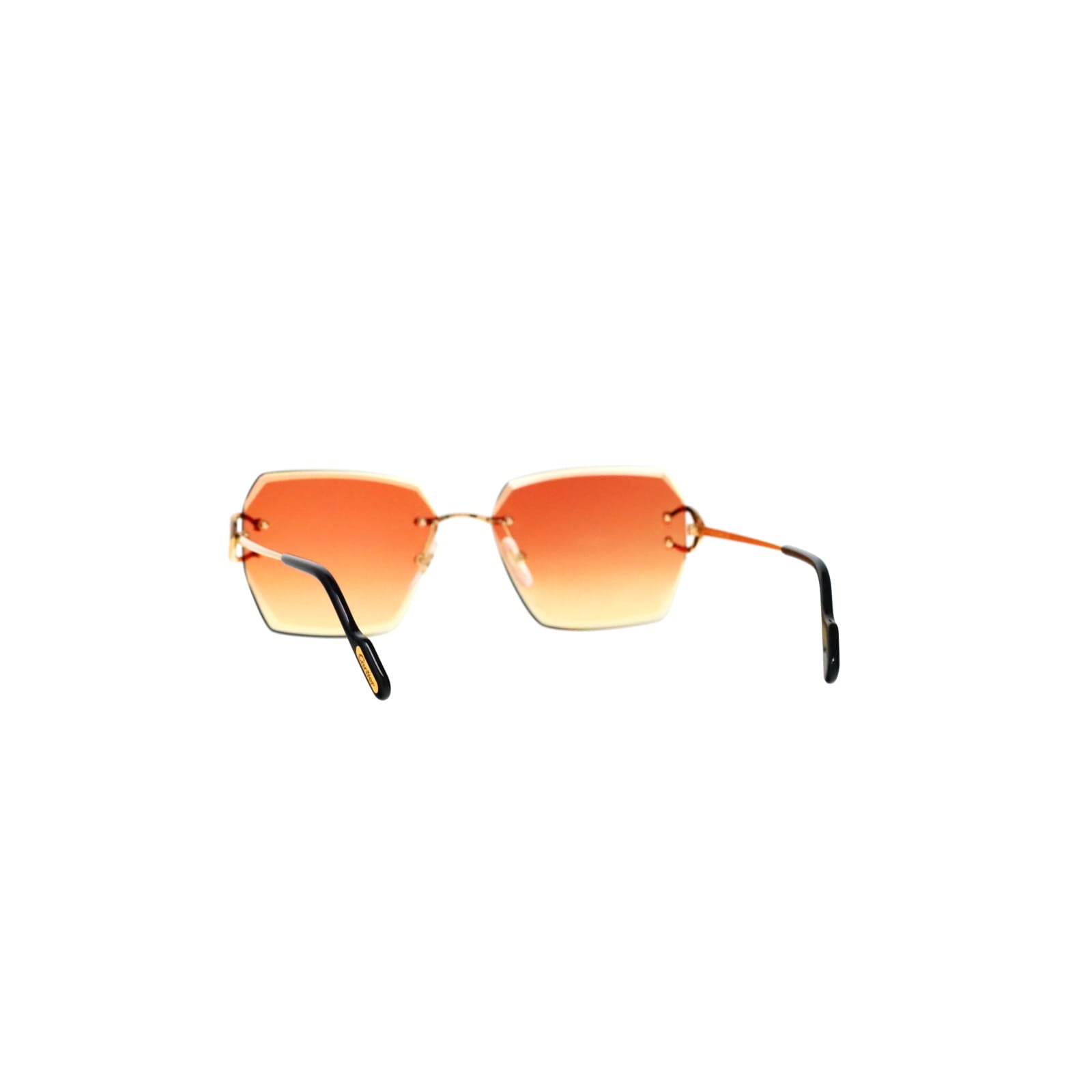 CT0466S  Signature C Sunglasses