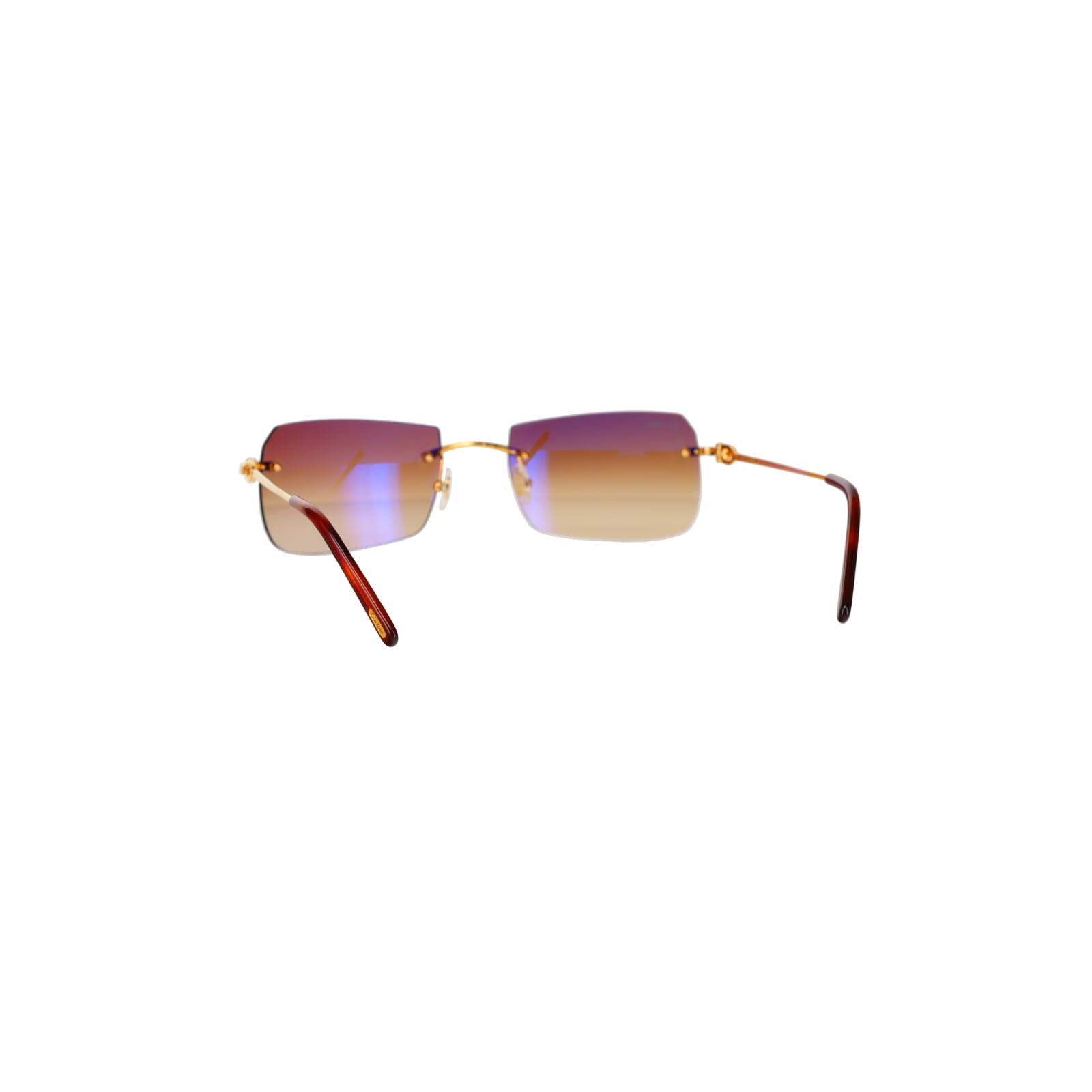 CT0006RS  C Décor Sunglasses