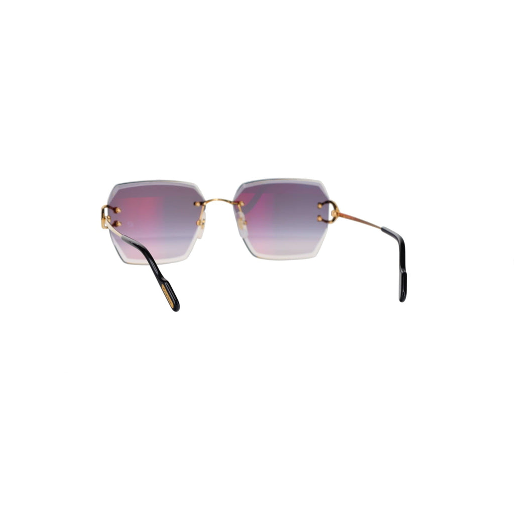 CT0466S  Signature C Sunglasses