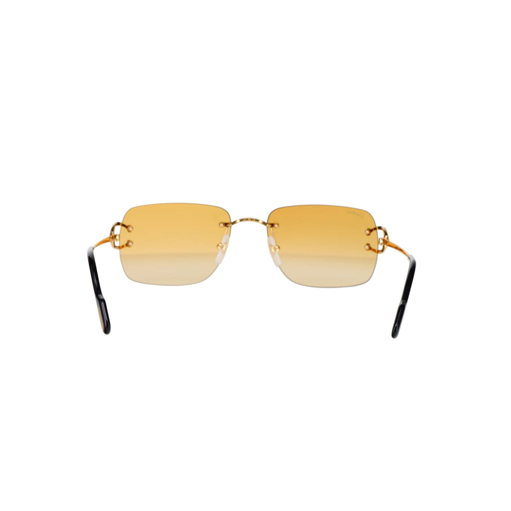 CT0330S Signature C  Sunglasses