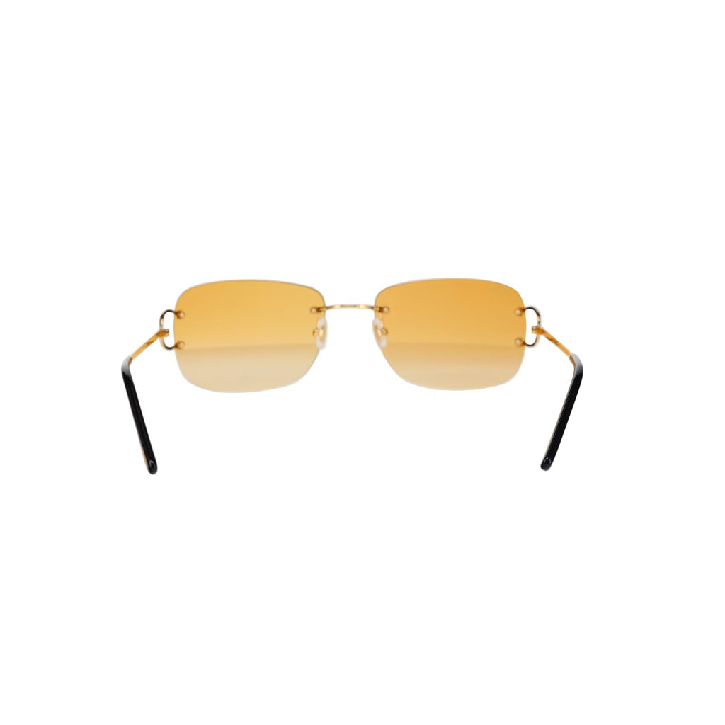 CT0011RS Signature C Sunglasses