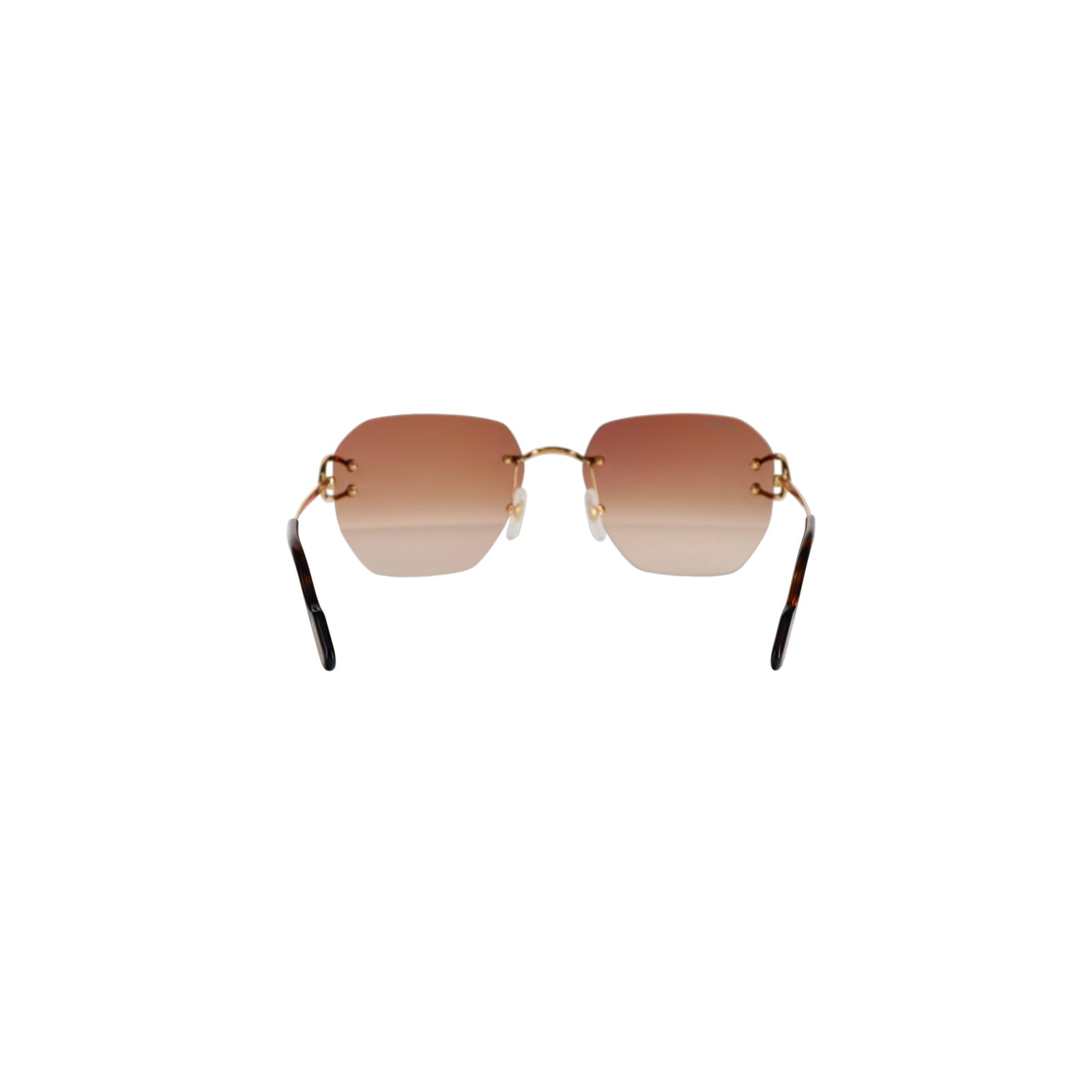 CT0394S Signature C Sunglasses