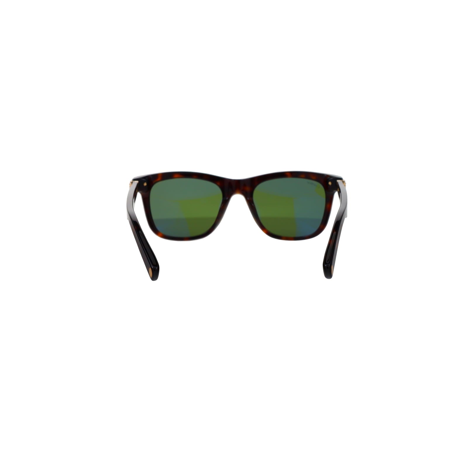 CT0396S Godron Contemporary Acetate Sunglasses