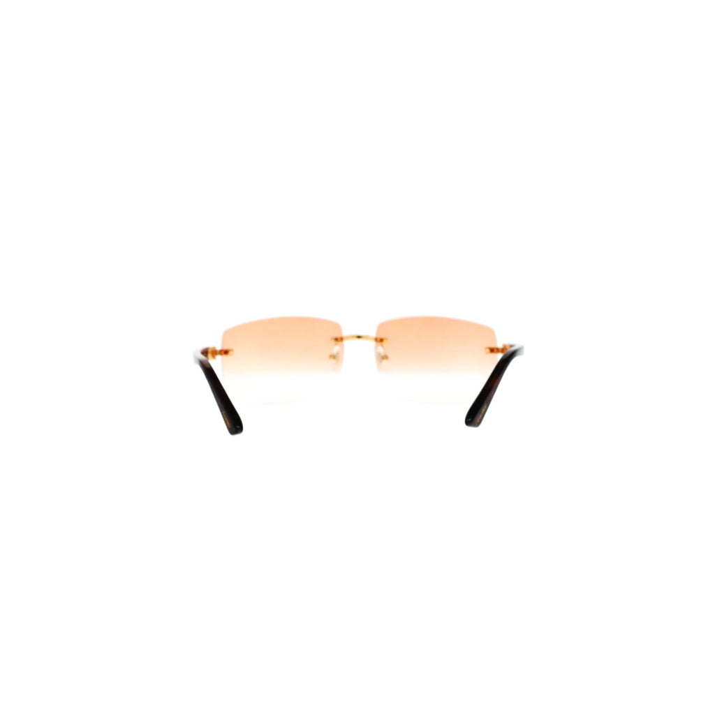 Cartier Custom C Décor Acetate Sunglasses by MEG