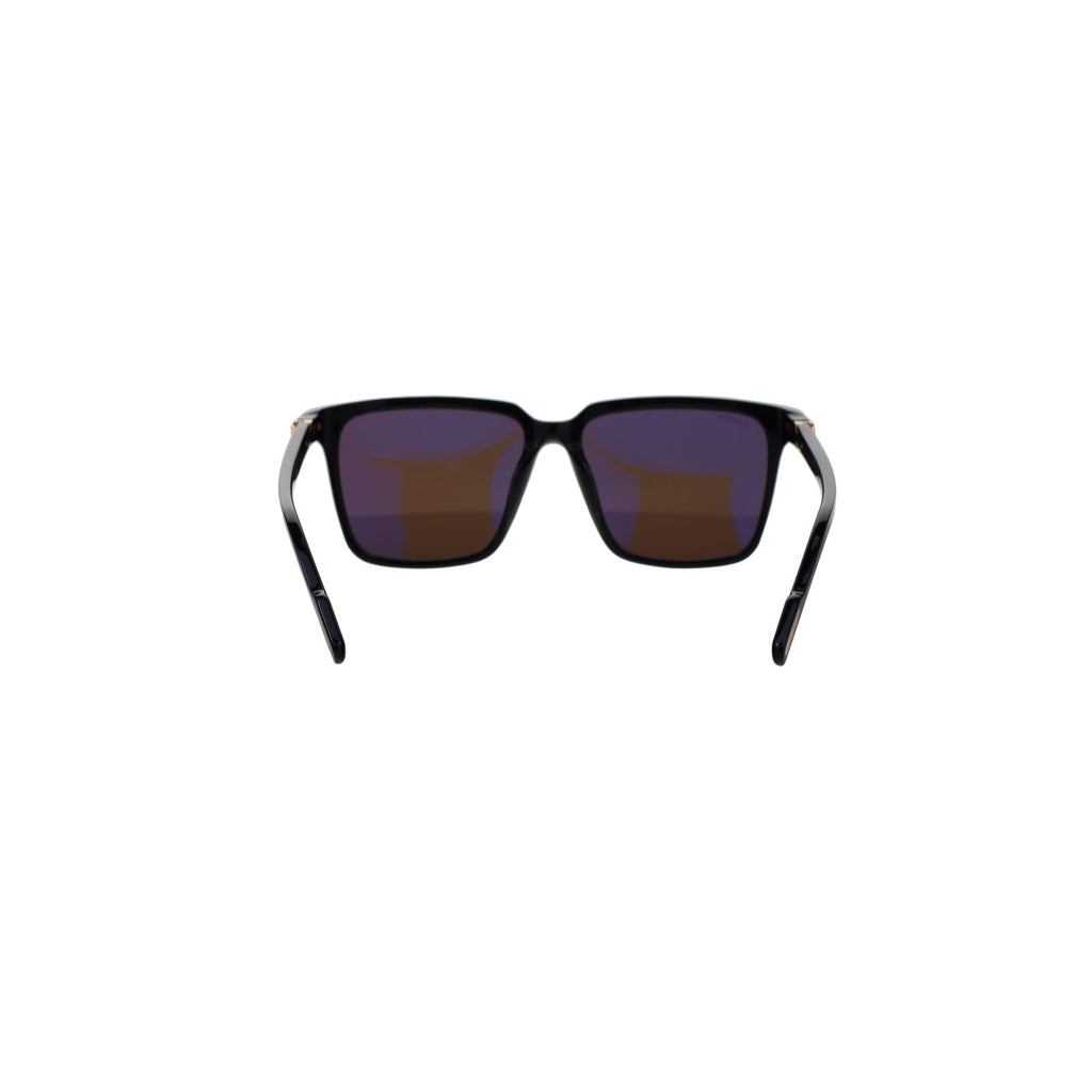 CT0366S Contemporary Acetate Sunglasses