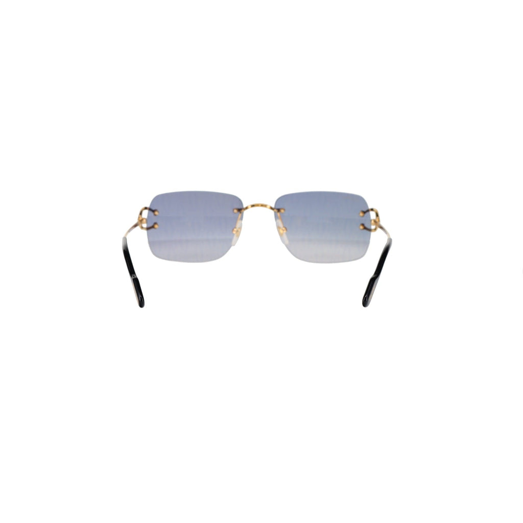 CT0330S Signature C  Sunglasses