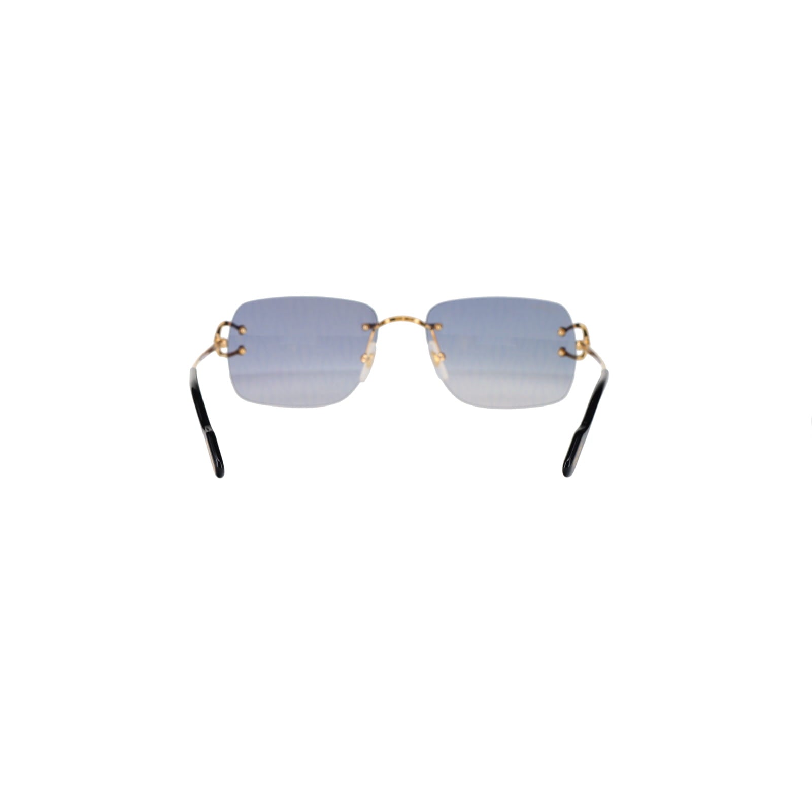 CT0330S Signature C  Sunglasses