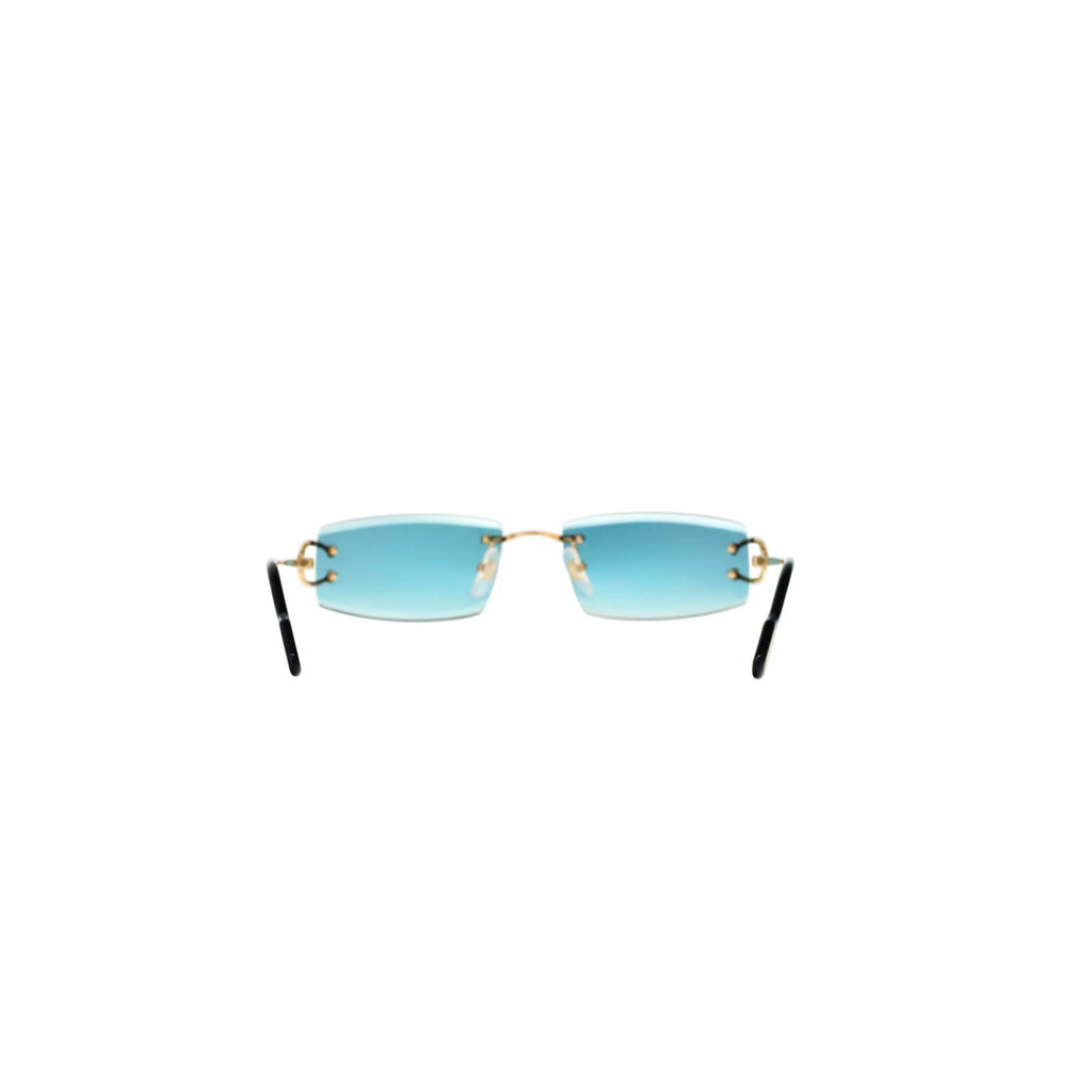 CT0465S Signature C  Rectangular Sunglasses
