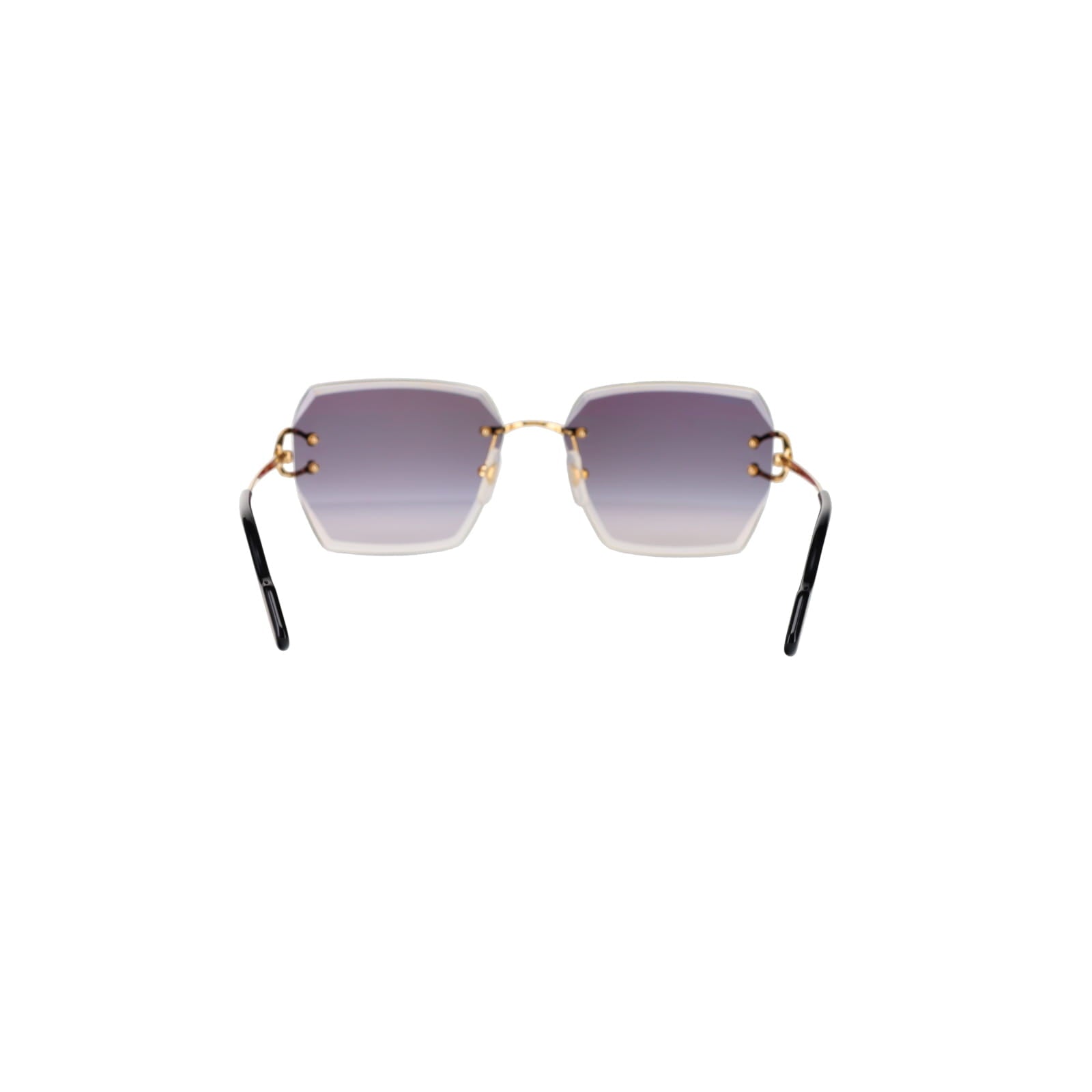 CT0466S  Signature C Sunglasses