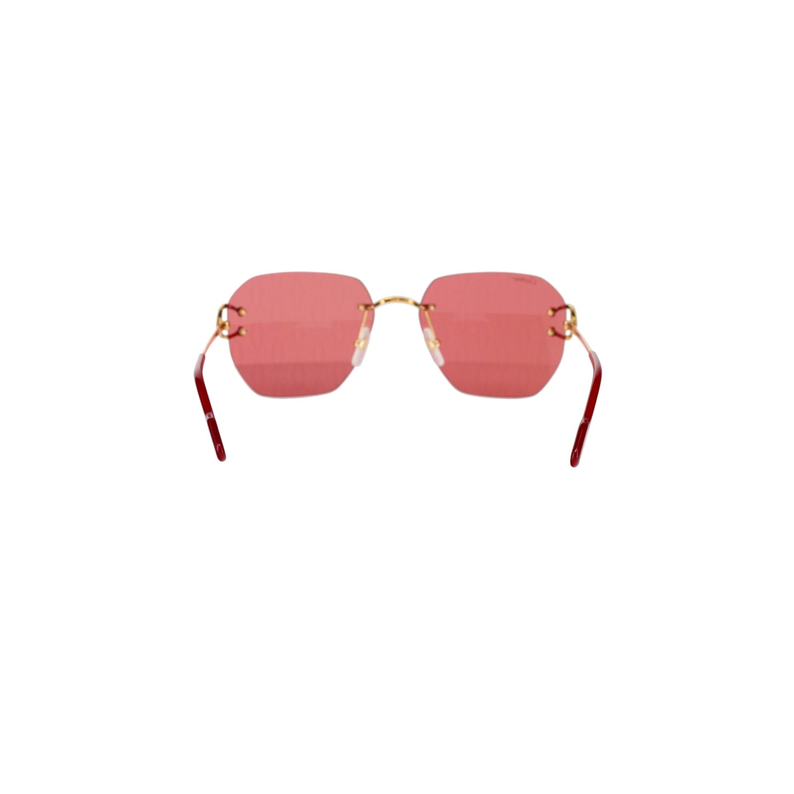 CT0394S Signature C Sunglasses