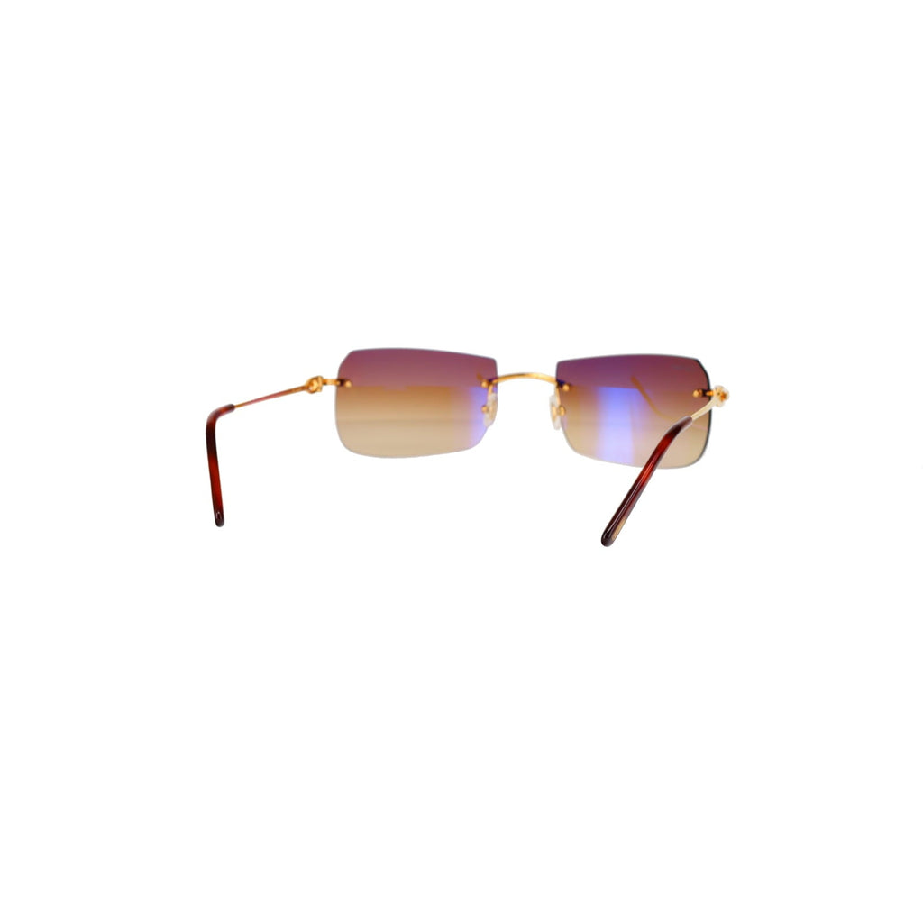 CT0006RS  C Décor Sunglasses