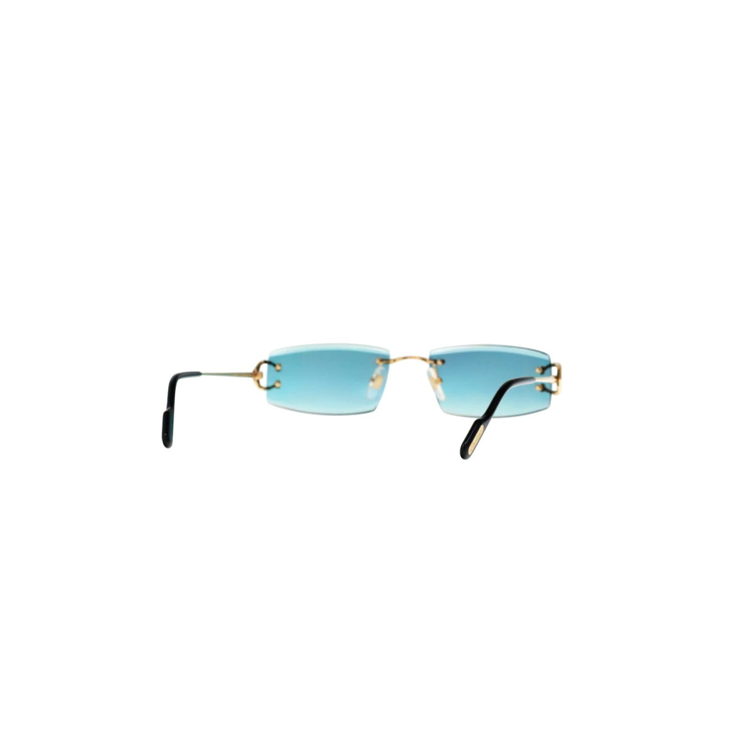 CT0465S Signature C  Rectangular Sunglasses