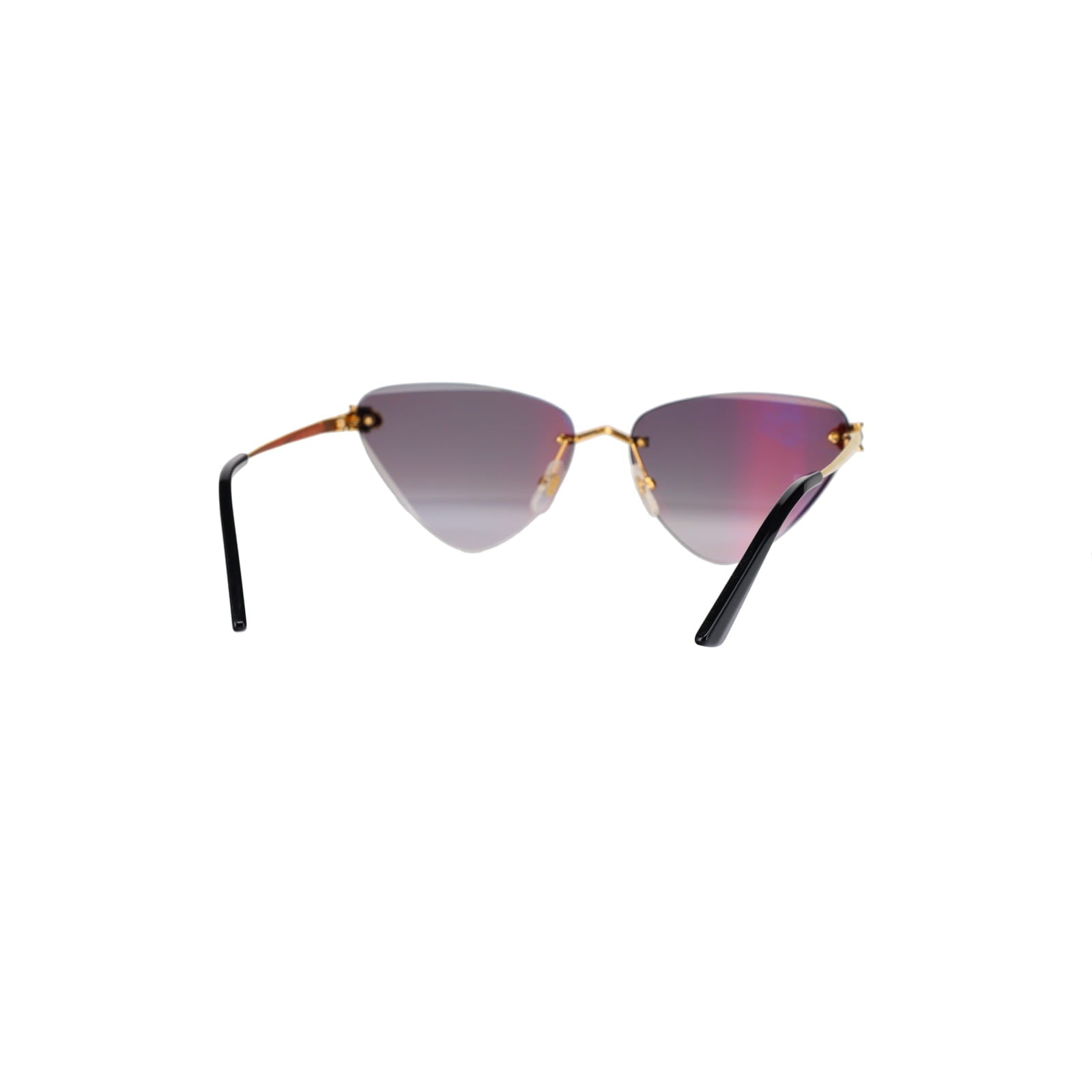 CT0399S Geometric Panthère Sunglasses