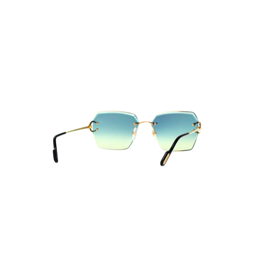 CT0466S  Signature C Sunglasses