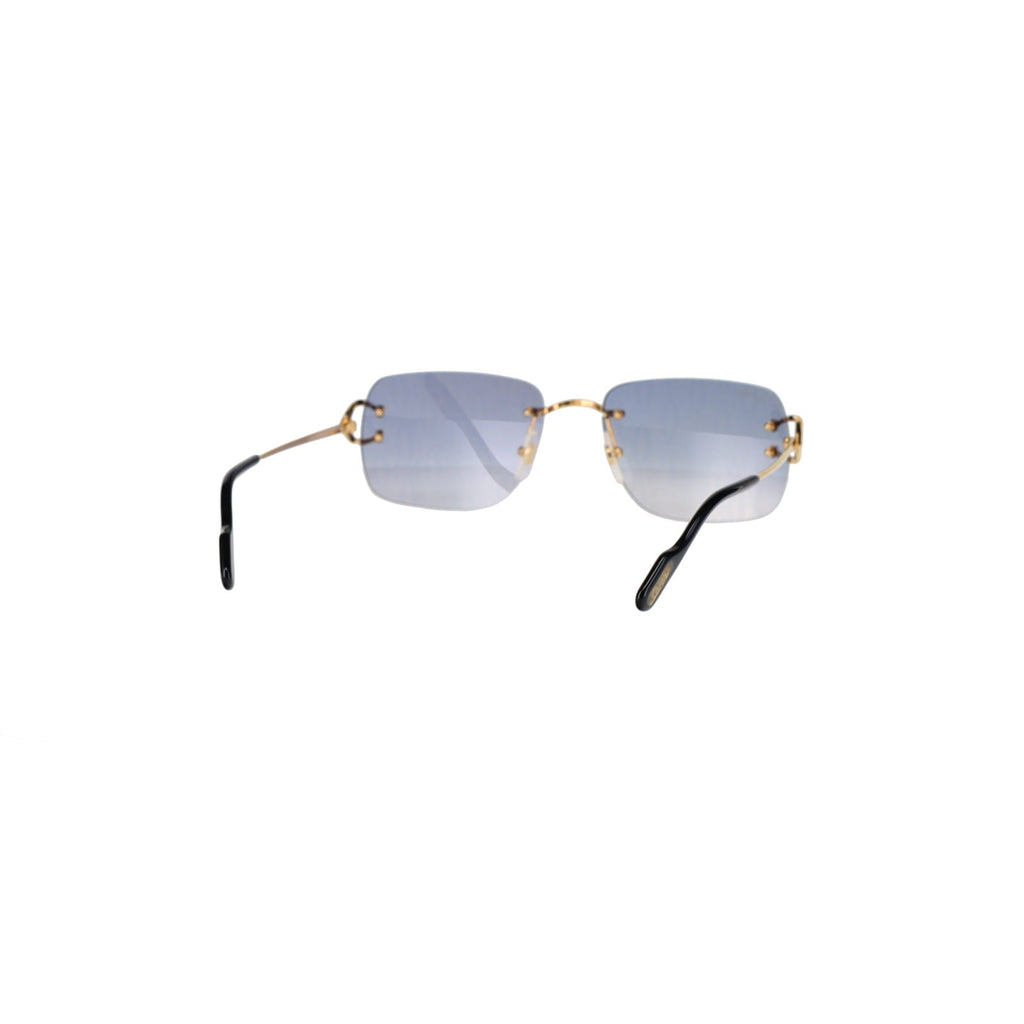 CT0330S Signature C  Sunglasses
