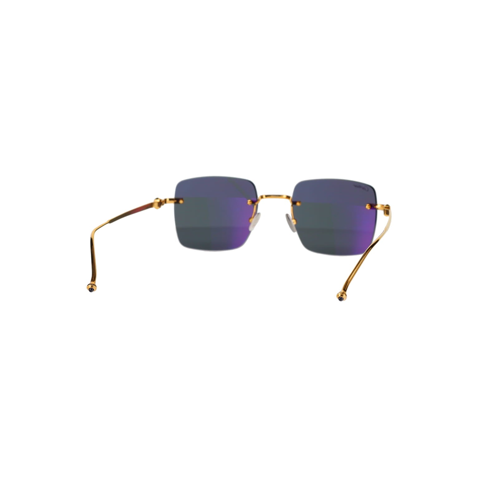 CT0403S Pasha Sunglasses