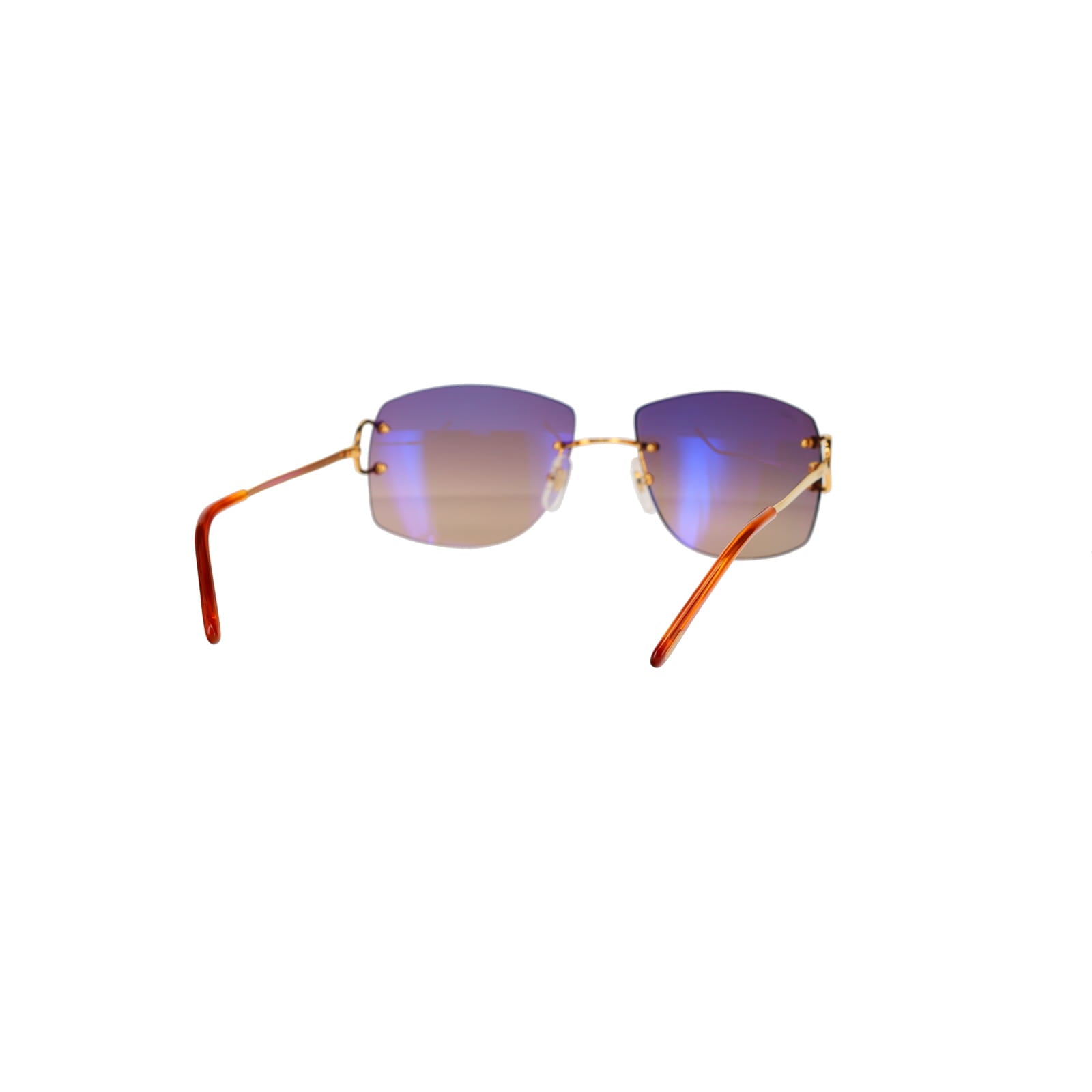 CT0008RS Signature C Sunglasses