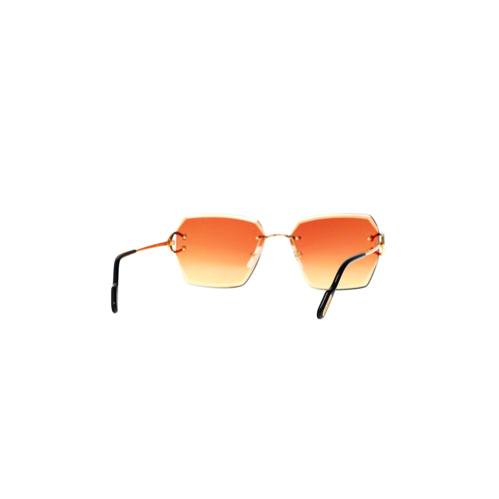 CT0466S  Signature C Sunglasses
